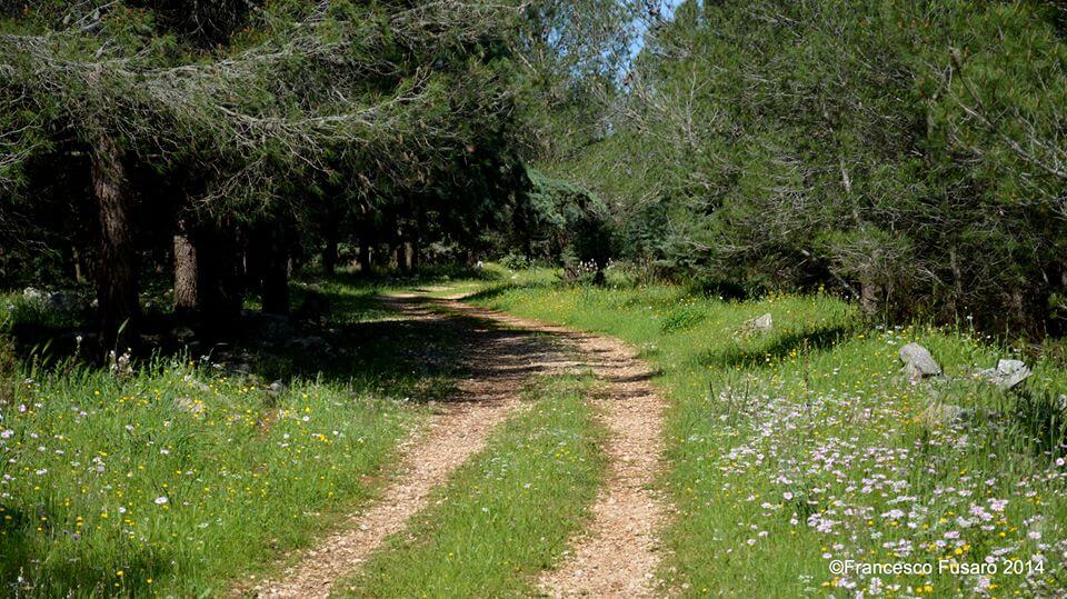 Weekend tra Lama Balice e Bosco di Bitonto