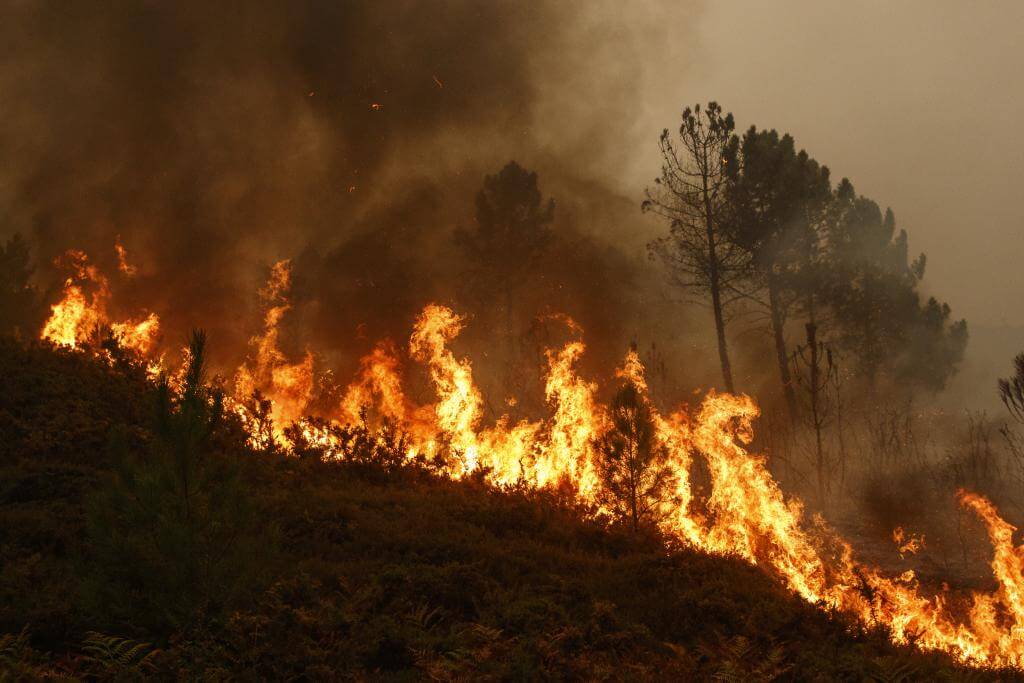 Una lunga notte di fuoco sul territorio murgiano