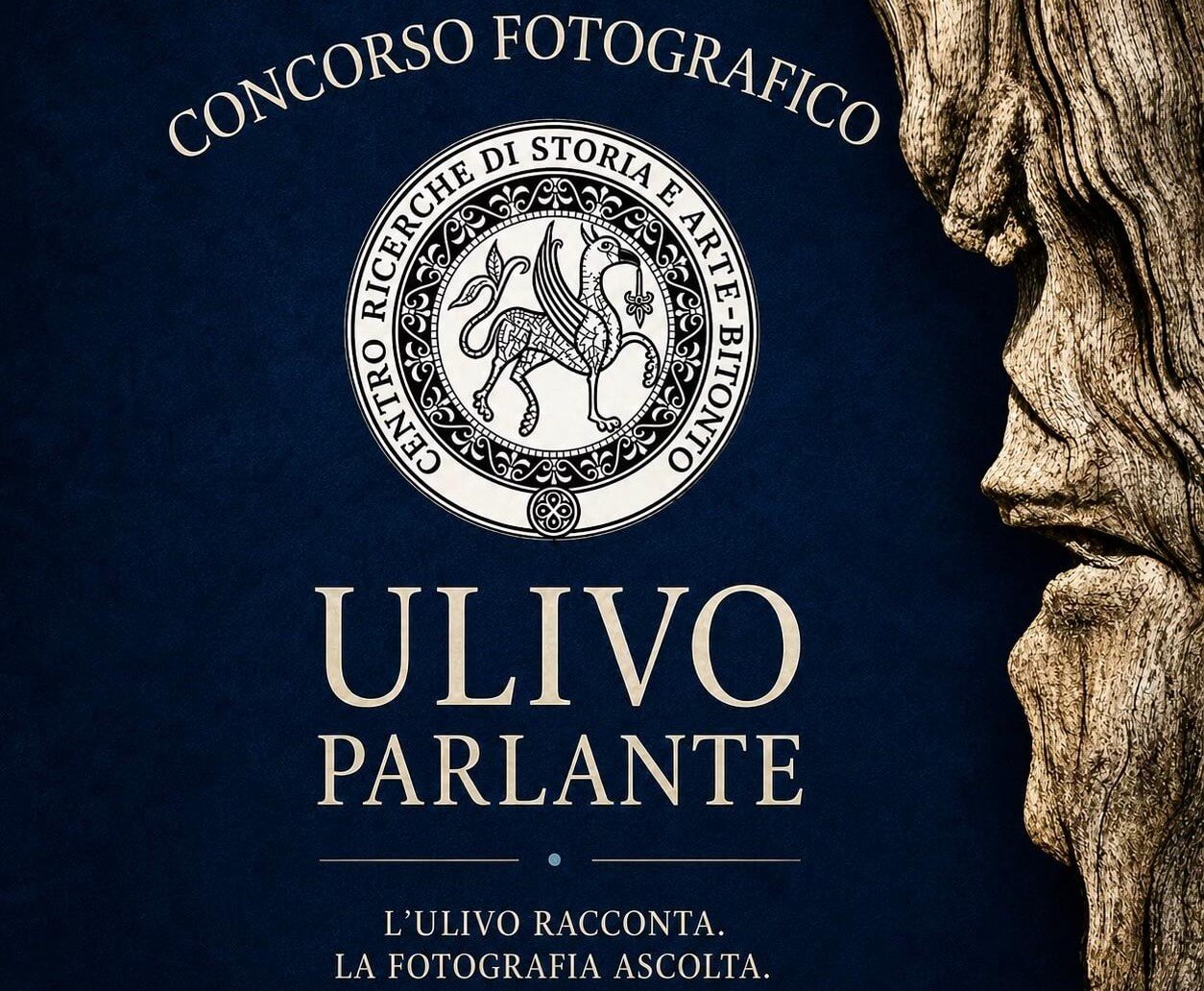 Le immagini dell’ulivo parlano dell’identità mediterranea