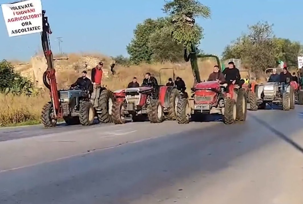 Gli olivicoltori di Bitonto passano al setaccio le cisterne d’olio